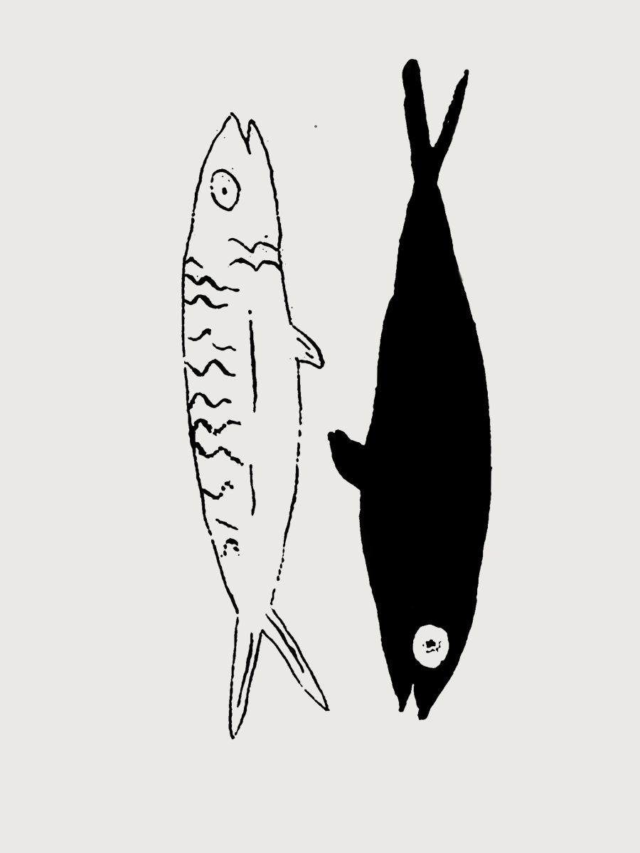 Un pesce è un pesce e Antonio è un&nbsp;pesce