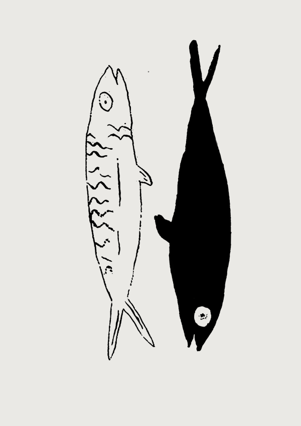 Illustrazione per "Un pesce è un pesce e Antonio è un pesce" di Chiara Bianchi
