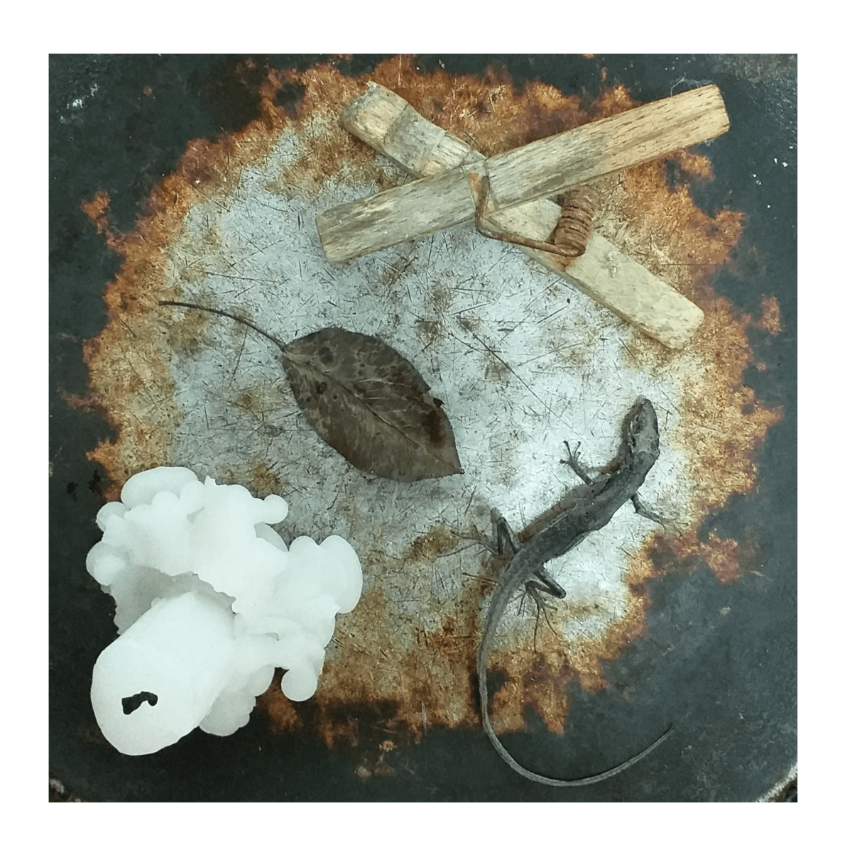 Requiem – Dei morti e della&nbsp;libertà