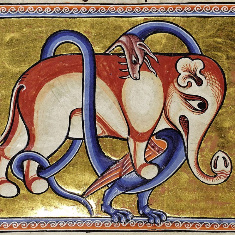 La faccia degli&nbsp;elefanti